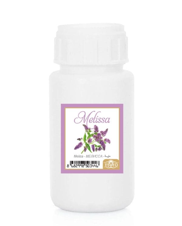 Melisa Kokusu Çubuklu Koku Bambu Kokusu Yedek Dolum Şişesi 100Ml